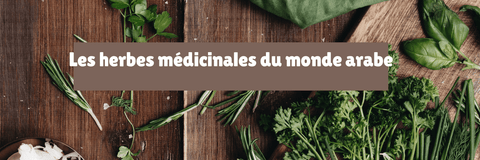 Les herbes médicinales du monde arabe