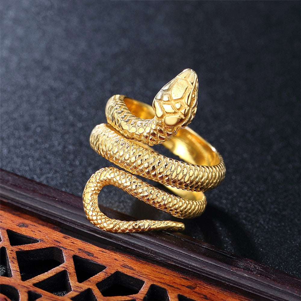 Bague Arabe Serpent - Main Image
