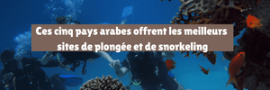 Ces cinq pays arabes offrent les meilleurs sites de plongée et de snorkeling