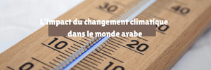 L'impact du changement climatique dans le monde arabe