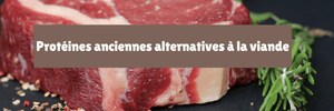 Protéines anciennes alternatives à la viande