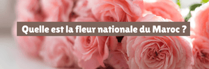 Quelle est la fleur nationale du Maroc ?